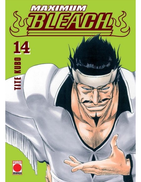 Maximum Bleach 14