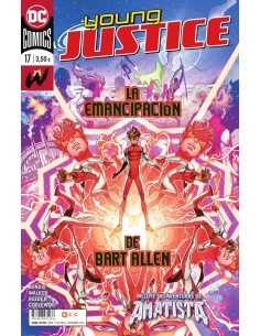 Young Justice 17