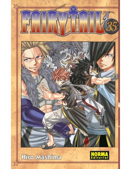 Fairy Tail 35