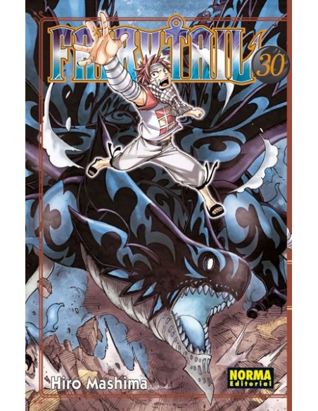 Fairy Tail 30