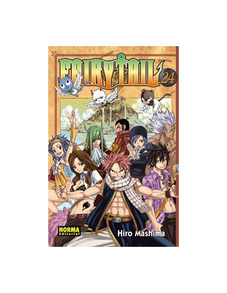 Fairy Tail 24