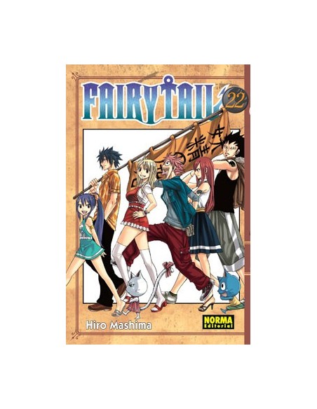Fairy Tail 22