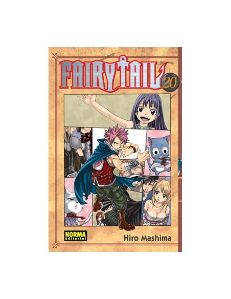 Fairy Tail 20