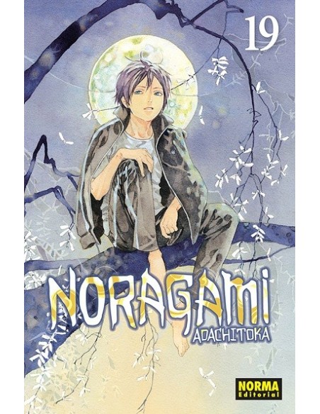 Noragami 19