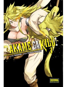 Akame Ga Kill! 03