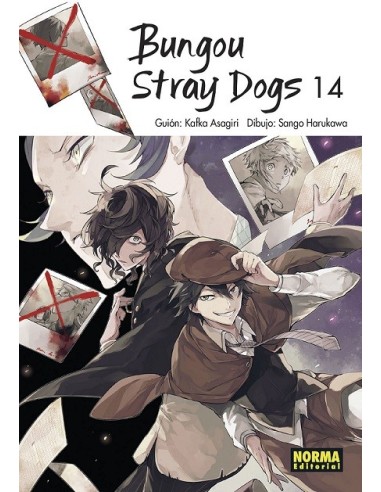 Bungou Stray Dogs 14