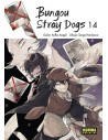 Bungou Stray Dogs 14
