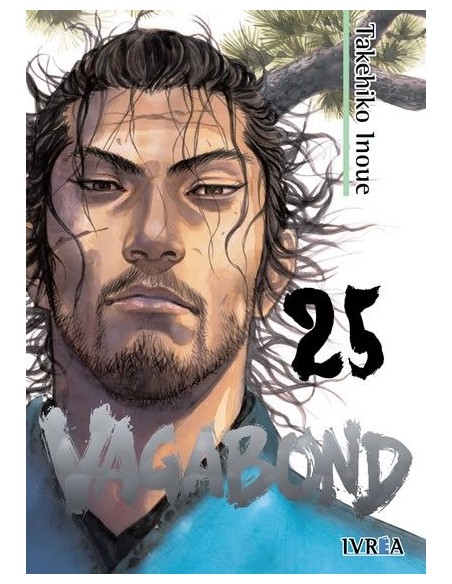 Vagabond 25