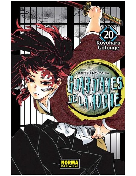 Guardianes de la Noche 20