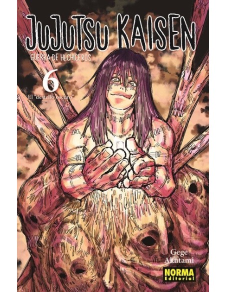 Jujutsu Kaisen 06
