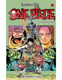 One Piece 95