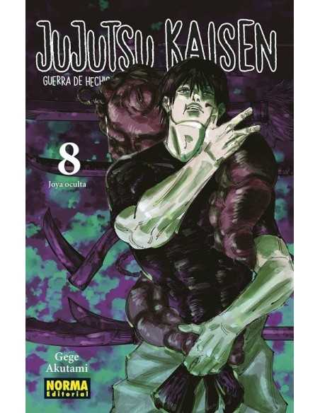 Jujutsu Kaisen 08