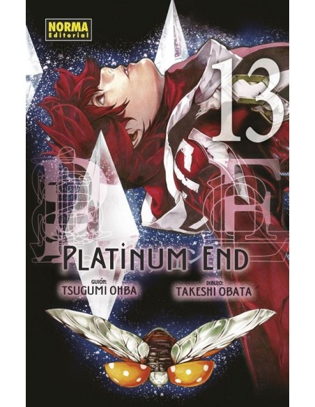 Platinum End 13