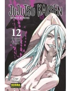 Jujutsu Kaisen 12