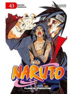 Naruto 43