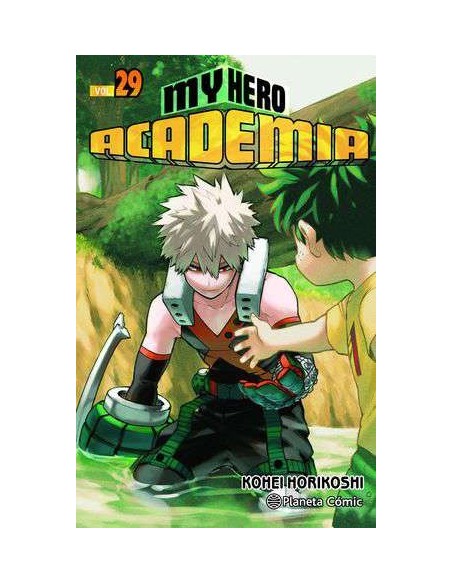 My Hero Academia 29