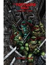 Las Tortugas Ninja: La serie original 04
