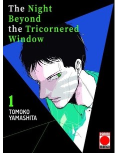 The Night Beyond The Tricornered Window 01