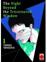 The Night Beyond The Tricornered Window 01