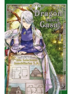 Dragón busca casa 04