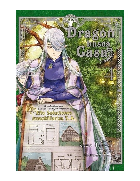 Dragón busca casa 04