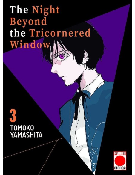 The Night Beyond The Tricornered Window 03