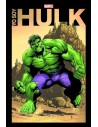 Yo Soy Hulk