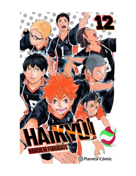 Haikyû!! 12