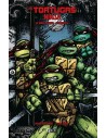 Las Tortugas Ninja: La serie original 06
