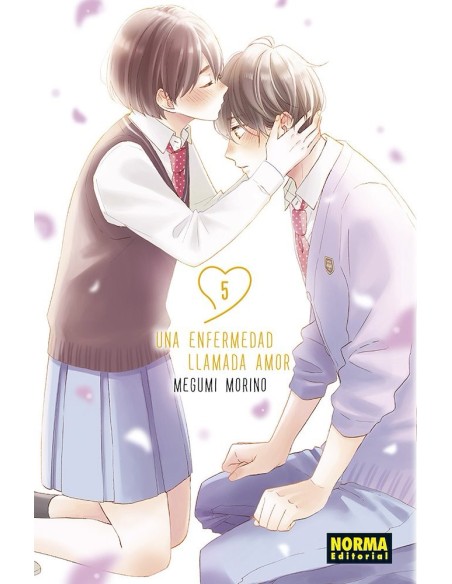 Una enfermedad llamada amor 05