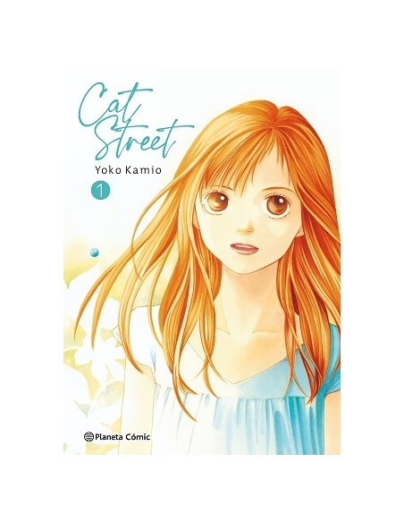 Cat Street 01