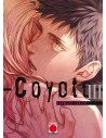 Coyote 03
