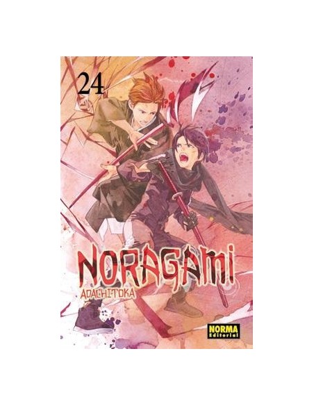 Noragami 24