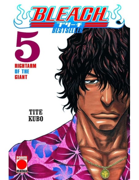 Bleach: Bestseller 05