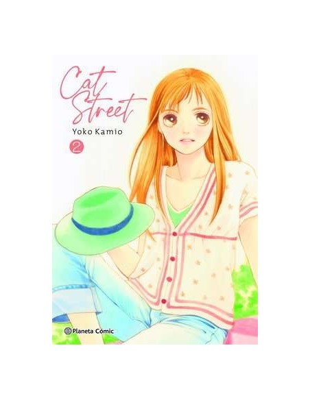 Cat Street 02