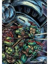 Las Tortugas Ninja: La serie original 07 de 7