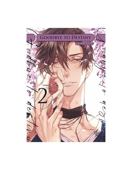 Goodbye to Destiny 02