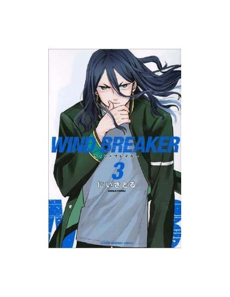Wind Breaker 03