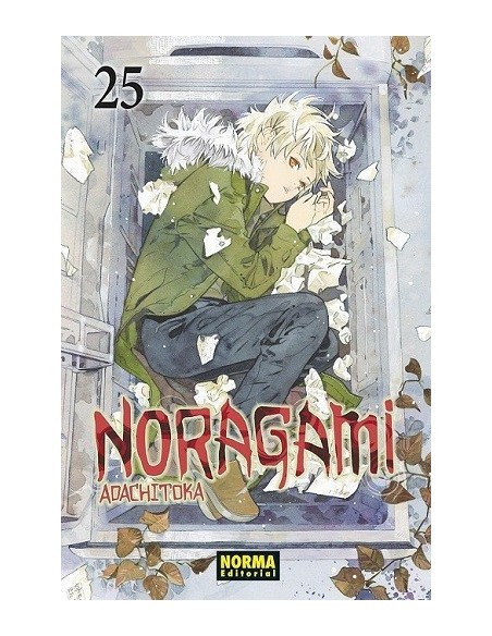 Noragami 25