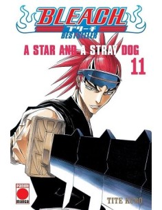 Bleach: Bestseller 11