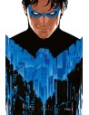 Nightwing 01: Saltar a la luz (segunda edición)