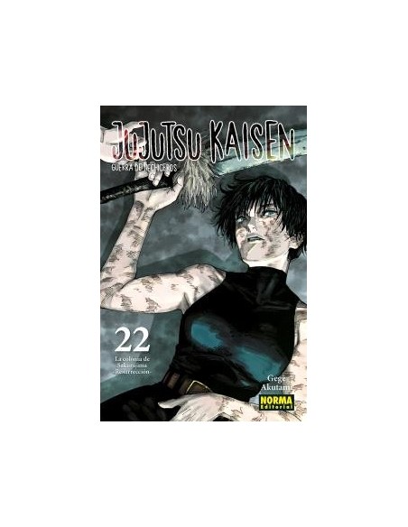 Jujutsu Kaisen 22