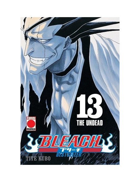 Bleach: Bestseller 13