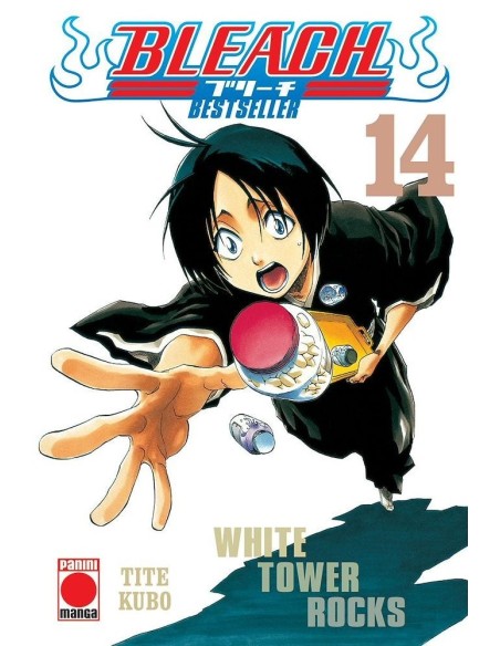 Bleach: Bestseller 14