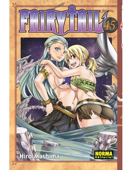 Fairy Tail 45
