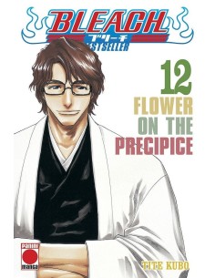 Bleach: Bestseller 12