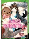 Junjo Romantica 17