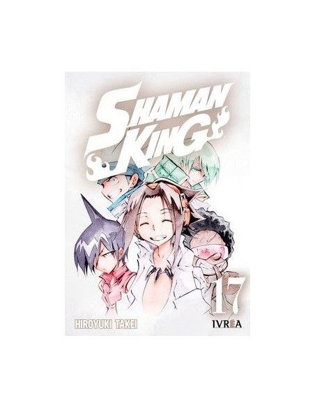 Shaman King 17