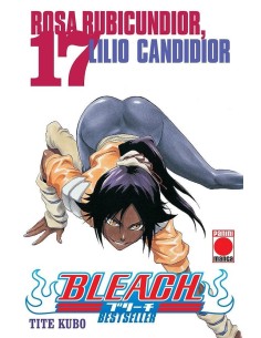 Bleach: Bestseller 17