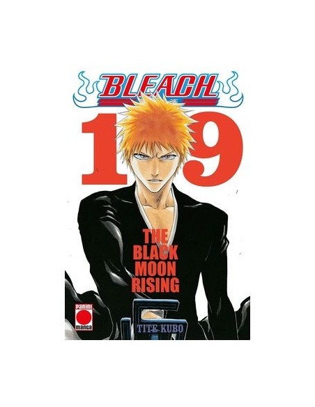 Bleach: Bestseller 19
